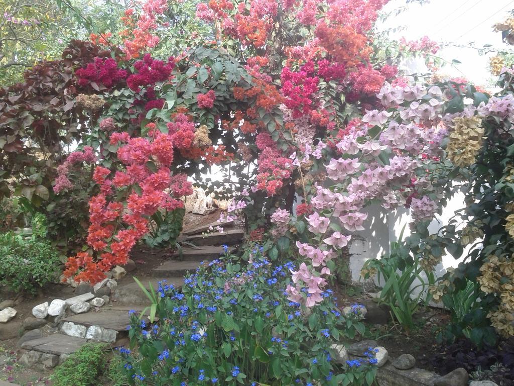 Jheelam Homestay Бхопал Экстерьер фото