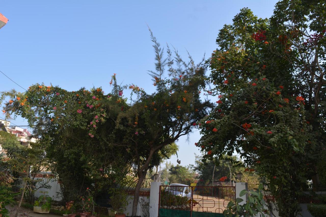 Jheelam Homestay Бхопал Экстерьер фото